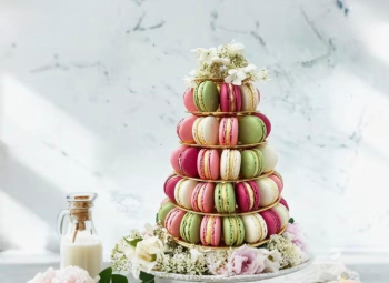 Pièce Montée 100 macarons